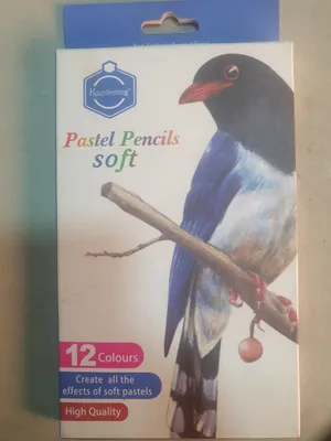 Soft oil pastel