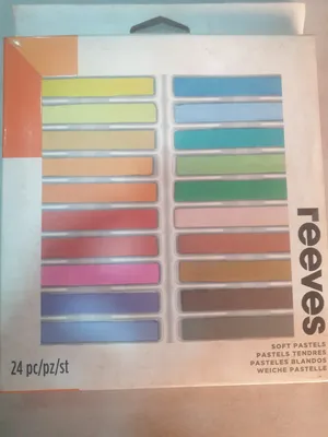 Set of 24 Reeves pastel